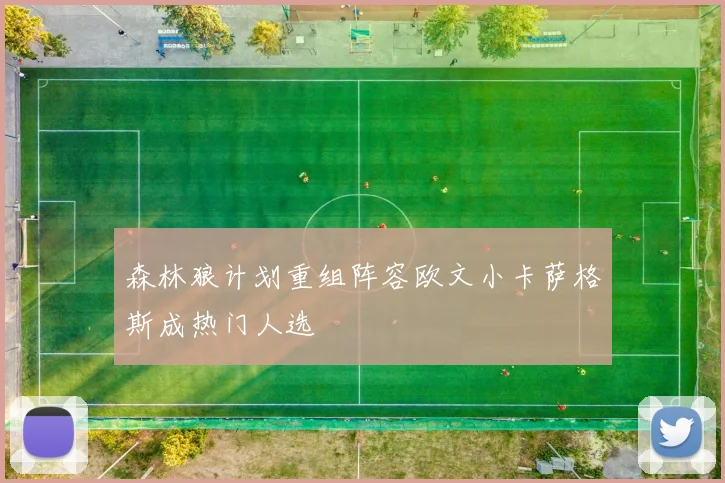 森林狼计划重组阵容欧文小卡萨格斯成热门人选