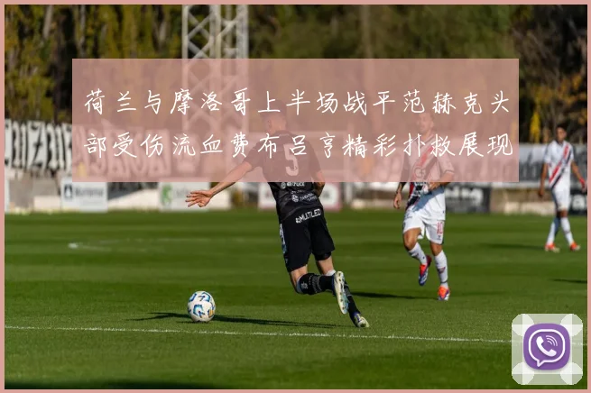 荷兰与摩洛哥上半场战平范赫克头部受伤流血费布吕亨精彩扑救展现实力